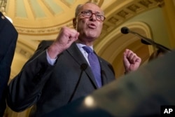 FILE - Senate Minority Leader Chuck Schumer of New York speaks at a news conference on Capitol Hill in Washington, July 18, 2017.