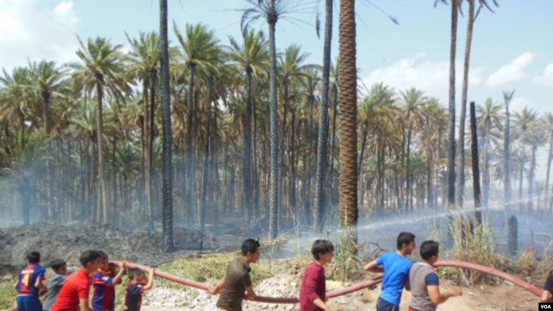 Orchards burn in Khanaqin