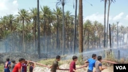 Orchards burn in Khanaqin