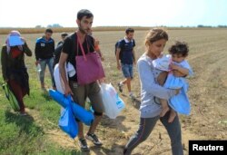 A group of migrants walk on the Serbian side of the border with Croatia, near Sid, Serbia, Sept. 16, 2015.