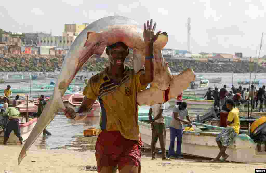 Osman Abdulahi carries fish at the Orobo beach in Hamarweyne district of Mogadishu, Somalia.
