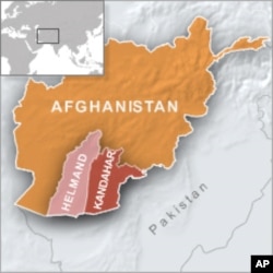 NATO Service Member Killed in Southern Afghanistan