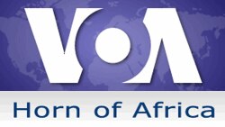 Voice of America's Horn of Africa Service broadcasts to Ethiopia in Amharic, Afaan Oromo and Tigrigna.