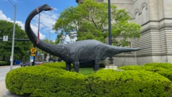 A dinosaur statue outside of the Carnegie Institute on Forbes Avenue in Pittsburgh.