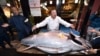 جاپان میں ایک مچھلی کی قیمت 27 کروڑ 88 لاکھ روپے