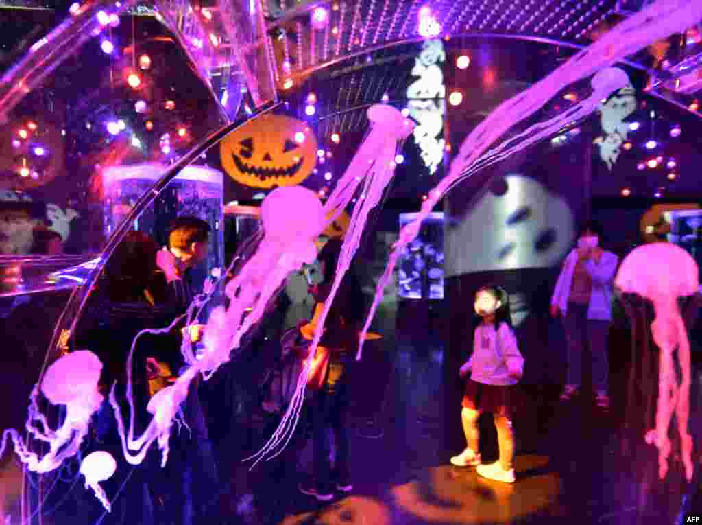 Jellyfish (in foreground) are displayed in fish tanks while images of ghosts and jack-o-lanterns are projected on the walls at the Aqua Park aquarium in Tokyo, Oct. 30, 2015. 