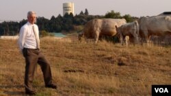  University of Idaho Professor Rod Hill with part of the university's purebred herd (VOA/T. Banse) 