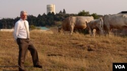  University of Idaho Professor Rod Hill with part of the university's purebred herd (VOA/T. Banse) 