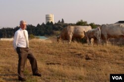 University of Idaho Professor Rod Hill with part of the university's purebred herd (VOA/T. Banse)