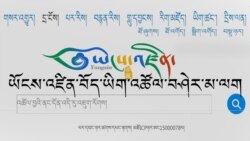 ཡོངས་འཛིན་འཚོལ་བཤེར་དྲ་ཚིགས་ཀྱི་དགེ་སྐྱོན།