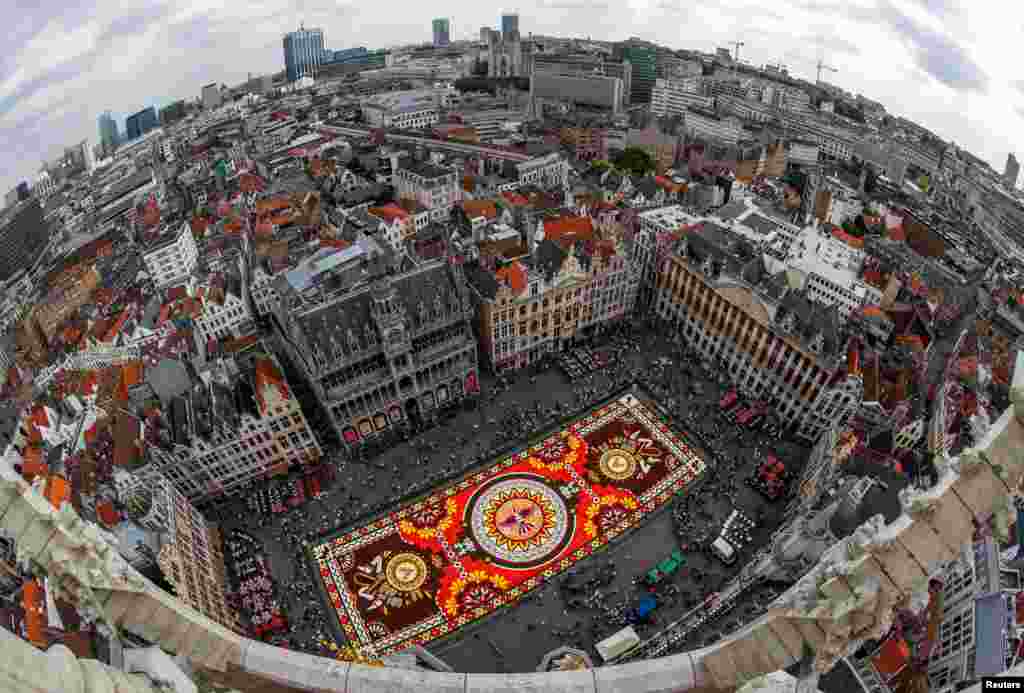 A 1,800 square meters flower carpet is seen at Brussels&#39; Grand Place, Belgium. More than 500,000 flowers were used to create the Latin American theme &quot;Guanajuato, cultural pride of Mexico.&quot;
