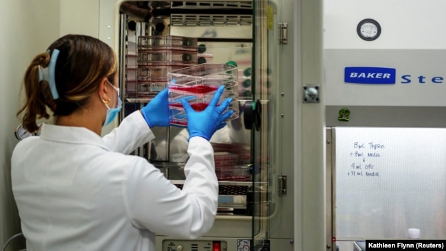 FILE - Technician Sarah Scheuermann at the Tulane National Primate Research Center, in Covington, Louisiana, U.S. It is one of the centers that have changed their efforts to studying the coronavirus, May 10, 2021. (REUTERS/Kathleen Flynn)