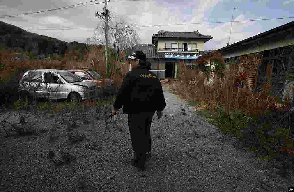 Former resident Susumu Ikeda walks past an overgrown garden during a visit to his home in the abandoned town of Namie, just outside the 20 kilometer exclusion zone around the Fukushima Dai-ichi plant on November 20, 2011. (AP)