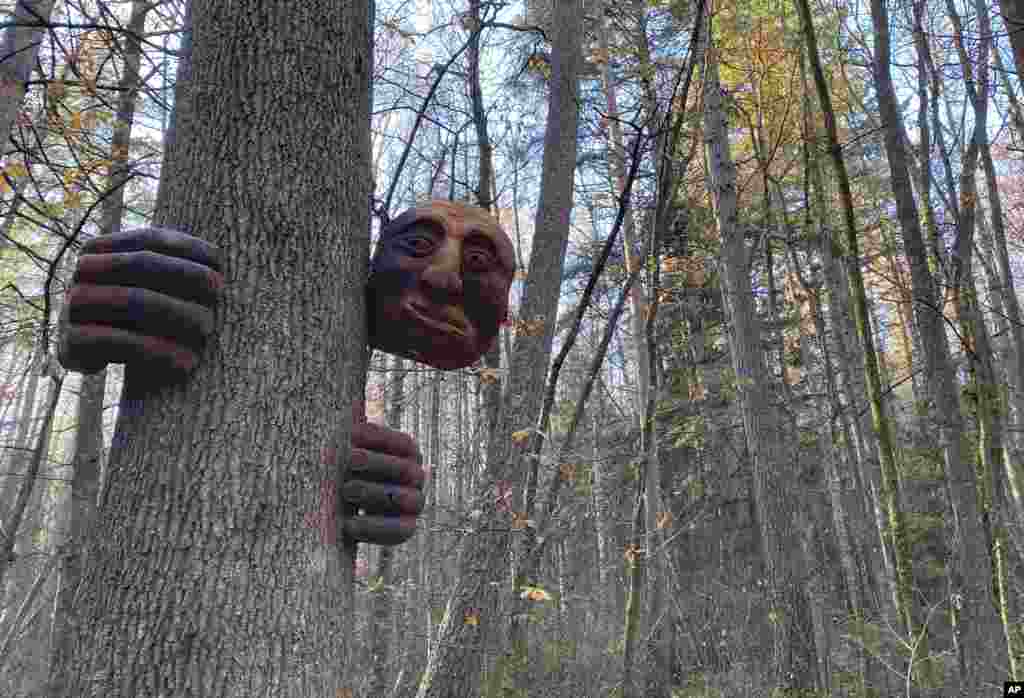 A &quot;friendly giant&quot; sculpture hangs from a tree in the Hanmer Heritage Forest at Hammer Springs, New Zealand.