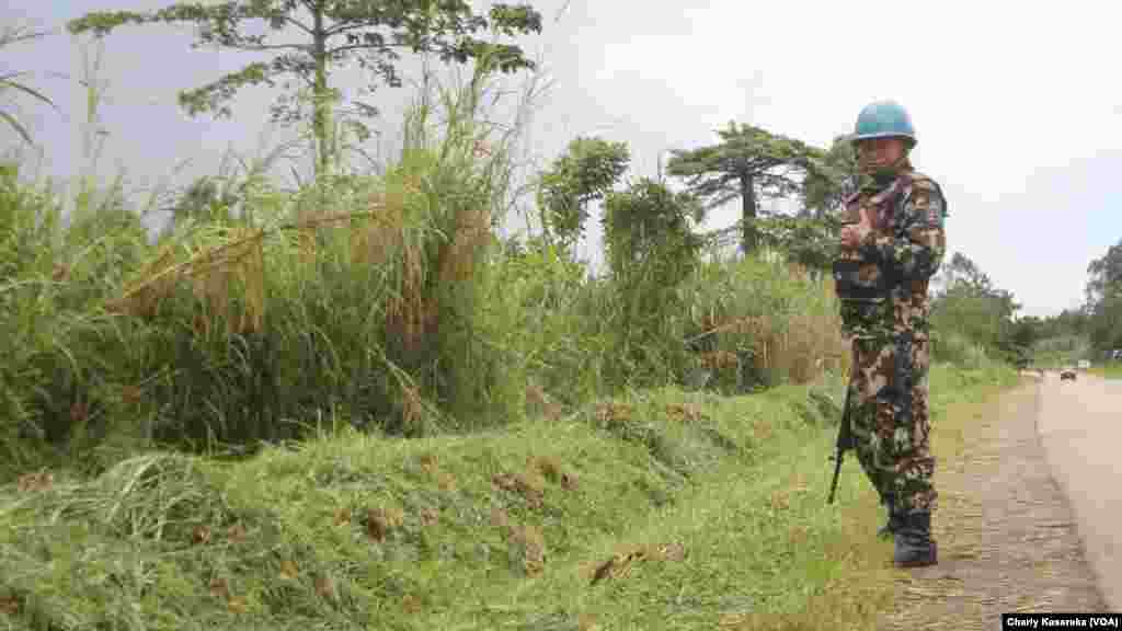 Un Casque bleu de la mission des Nations unies au Congo patrouille à Oicha, Beni, 28 octobre&nbsp; 2015 (Charly Kasereka/VOA).