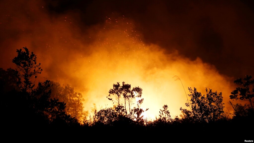 FILE - Trees and peatland are pictured during a fire in Palangka Raya, Central Kalimantan province, Indonesia, September 17, 2019. (REUTERS/Willy Kurniawan)