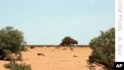 UN: Drought Forcing New Cycle of Human Suffering in Somalia