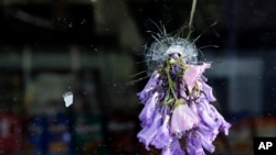 Flowers are placed through a bullet hole in a window of a store, where part of a mass shooting took place, May 24, 2014, in Isla Vista, California.