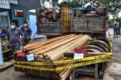 Polisi menunjukkan kayu gelondongan dan kayu gergajian pada konferensi pers di Pekanbaru, Riau pada 26 November 2020 setelah memberantas operasi pembalakan liar di kawasan konservasi di Kampar. (Foto: Wahyudi/AFP)