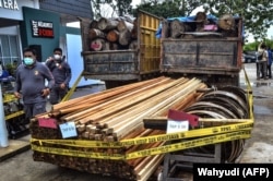 Polisi menunjukkan kayu gelondongan dan kayu gergajian pada konferensi pers di Pekanbaru, Riau pada 26 November 2020 setelah memberantas operasi pembalakan liar di kawasan konservasi di Kampar. (Foto: Wahyudi/AFP)