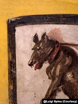 This undated image provided by Pompeii Archaeological Park's press office shows a painting of a dog on a leash at a recently uncovered thermopolium, or fast-food eatery, at Pompeii. @Luigi Spina (Courtesy)