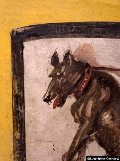 Dig of Pompeii Fast-Food Place Reveals Ancient Tastes