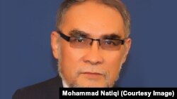 ناطقی، عضو هیئت صلح افغانستان