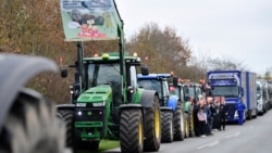 Mink farmers protest in Holstebro, Jutland, Denmark November 6, 2020.