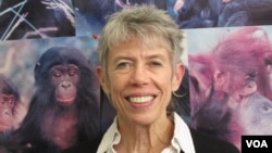  Anthropology Professor Kristen Hawkes says humans are distinct among primates when it comes to longevity. Credit: Lee J. Siegel, University of Utah 
