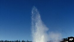 Mạch nước phun trong công viên Yellowstone