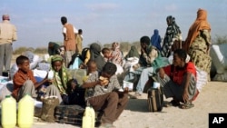 在肯尼亞北部的索馬里難民等候安排回國。