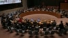 US Won't Impede Venezuela's UN Security Council Bid