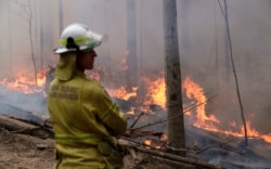 A firefighter keeps an eye on a controlled fire as they work at building a containment line at a wildfire near Bodalla, Australia, Sunday, Jan. 12, 2020.