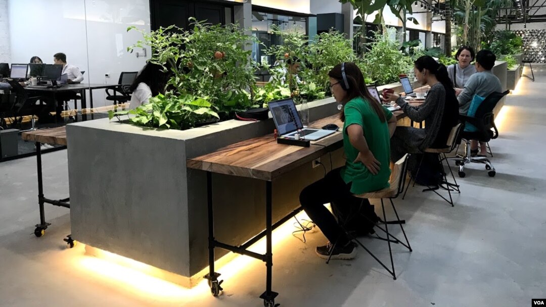 Small businesses take advantage of co-working spaces like this one, in Ho Chi Minh City, but many haven't taken steps to protect themselves online. (Photo: H. Nguyen / VOA)