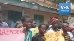 Des dizaines de combattants de Boko Haram se rendent aux autorités