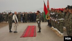 Avganistanske i međunarodne snage