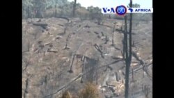 Manchetes Africanas, 9 de Março de 2015