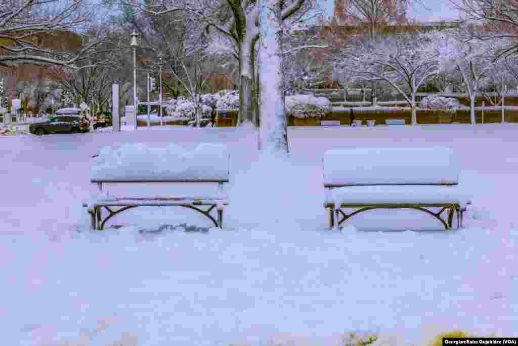 snow in D.C. - January 3.2022