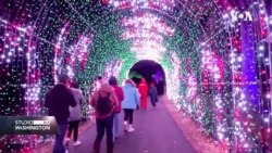"Holiday Road" u Virginiji: Milioni svjetala, čitava šuma božićnih jelki i blještavo praznično polje