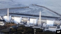 Fukushima nuclear plant, Japan (File Photo)