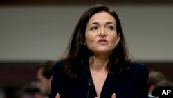 의회 청문회에서 증언하는 셰릴 샌드버그 페이스북 최고운영책임자 (자료사진)