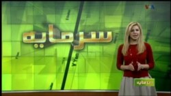 تاثیر نتیجه انتخابات ریاست جمهوری آمریکا بر رابطه اقتصادی این کشور با ایران