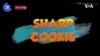 一分钟美语--Sharp Cookie