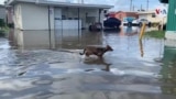 Tormenta Eta: una amenaza aún latente en EE.UU.