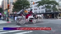 نیویارک لایحه منع تردد گادی‌ها در این شهر را تصویب کرد