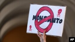 Demo menentang Monsanto di Portugal