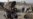 Pakistan Blasphemy Killer Hanged