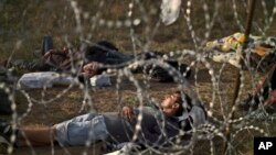 Refugiados afganos duermen al lado de un cerco de alambre de púa en el lado serbio de la frontera con Hungría, el jueves, 17 de septiembre de 2015.
