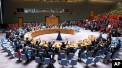 Заседание Совет Безопасности ООН (архивное фото)