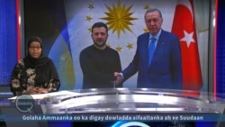 Turkiga: Ciidan ma u dirayaa Ukraine?